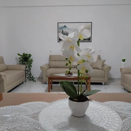 Vicky's Apartment, Apartamento *